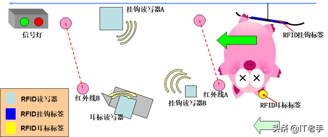 RFID（無線射頻識別）技術(shù)在生豬飼養(yǎng)及屠宰廠的應(yīng)用方案