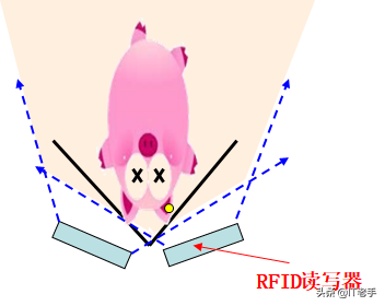 RFID（無線射頻識別）技術(shù)在生豬飼養(yǎng)及屠宰廠的應(yīng)用方案