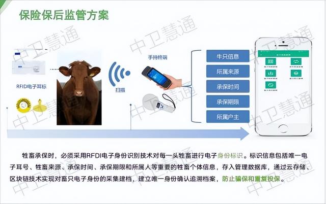 畜牧養(yǎng)殖保險的新嘗試，智能耳標與養(yǎng)殖平臺監(jiān)管